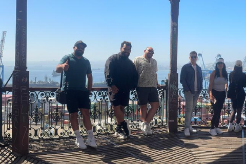 Viña del Mar and Valparaiso: Private Tour