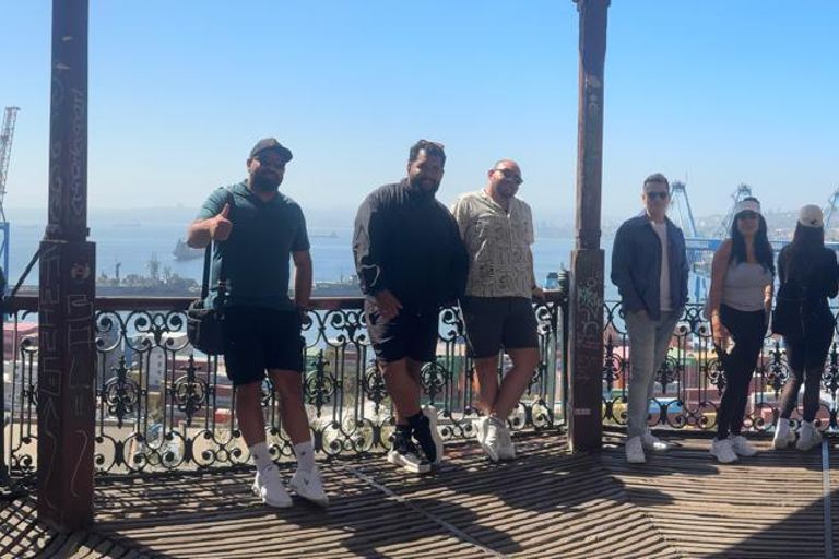 Viña del Mar and Valparaiso: Private Tour