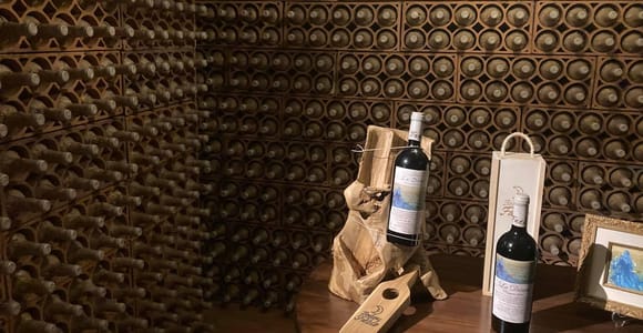 Alicante: Winery Tour with Wine Tasting and Snacks