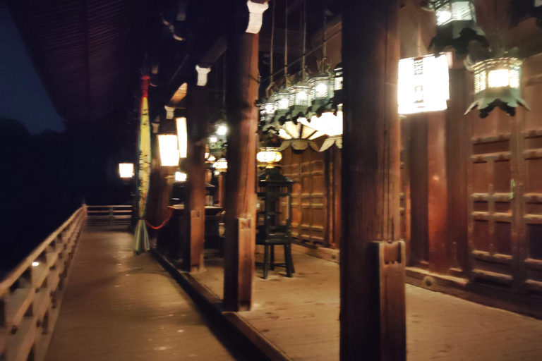 Nara: descubre la belleza atemporal en un tranquilo paseo nocturno.Nara: descubre la belleza atemporal en un tranquilo paseo nocturno