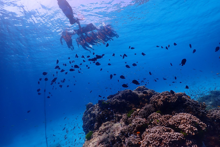 Isola Similan - SnorkelingOpzione motoscafo