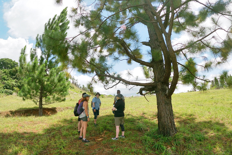 Nadi: Przygoda z wędrówką w małej grupie po ukrytych szczytachUkryte szczyty – przygoda dla małych grup miłośników wędrówek