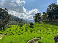 Exclusive knuckles Camping Tour from kandy - Housity