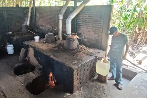 Depuis Puerto Escondido : Gataway à Oaxaca en une journée.