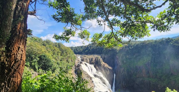 Cairns: 3-Day Daintree, Kuranda, & Reef Tour + Accommodation