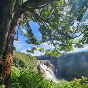 Cairns: 3-Day Daintree, Kuranda, & Reef Tour + Accommodation