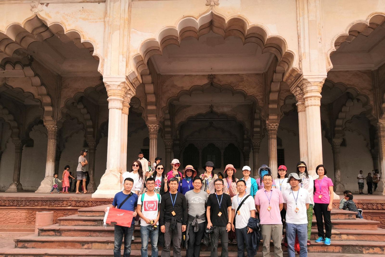 Depuis Agra : Visite du Taj Mahal avec conservation des éléphantsVisite guidée avec chauffeur et guide uniquement