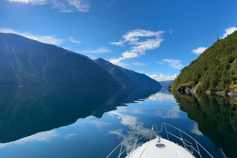 From Flåm: Private 2-Day Cruise to Bergen