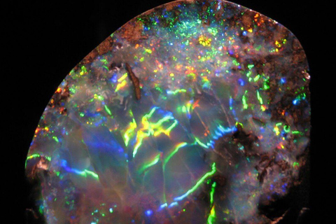 Houston: Museum of Natural Science Entry & Digital Tour