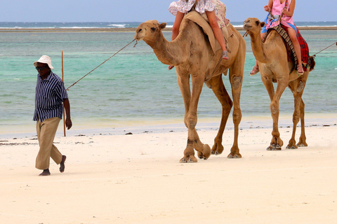 3 nachten Vipingo Golf Safari & Vlucht Tour3 nachten Vipingo Golfarrangement & Vlucht Tour