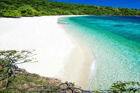 From Ceiba: Vieques Full-Day Trip by Ferry