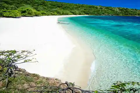 Från Ceiba: Dagsutflykt till Vieques med färja