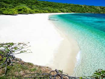From Ceiba: Vieques Full-Day Trip by Ferry