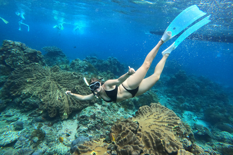 Nusa Penida: Ganztägiges Schnorcheln mit Manta-Rochen am Manta PointSchnorcheln und Westland Tour (Treffpunkt - Penida Port)