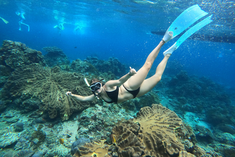 Nusa Penida: Ganztägiges Schnorcheln mit Manta-Rochen am Manta PointSchnorcheln und Westland Tour (Treffpunkt - Penida Port)