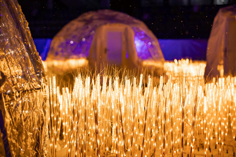 Rovaniemi: SnowGlow Winterpark Entry Ticket