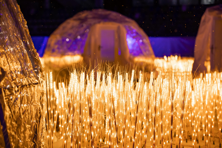 Rovaniemi: SnowGlow Winterpark Entry Ticket