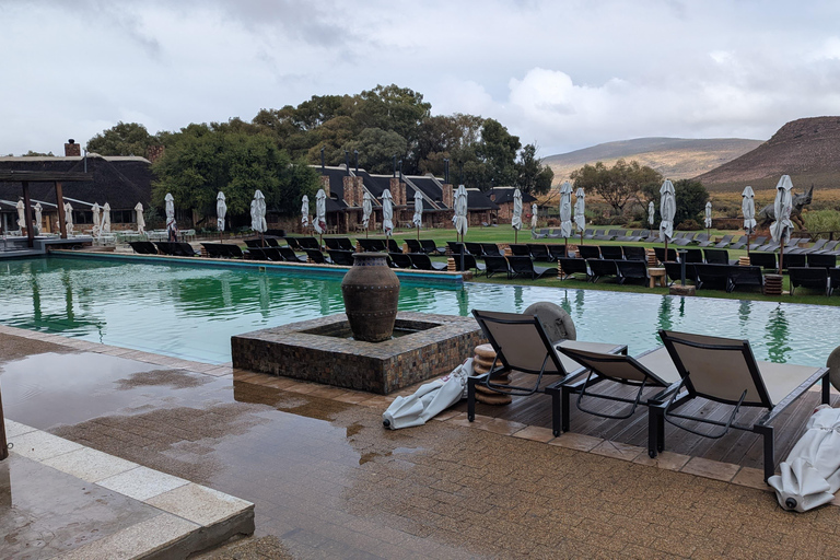 Cape Town Big 5 afternoon safari with lunch and transport