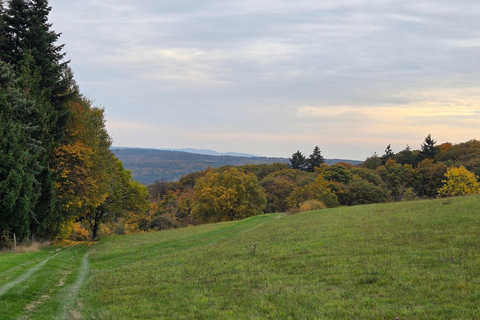 Guided hike on the Rhine Heights Tour St. Quintin