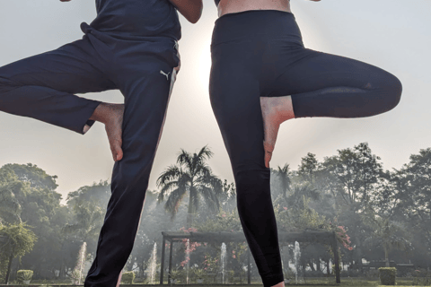 Delhi: Yoga im Lodhi-Garten