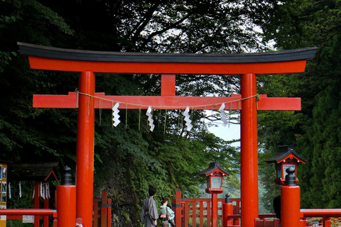 Tokyo:Nikko World Heritage Sites Customized Private Day Trip Nikko Private Tour –Minivan Up to 7 Guests