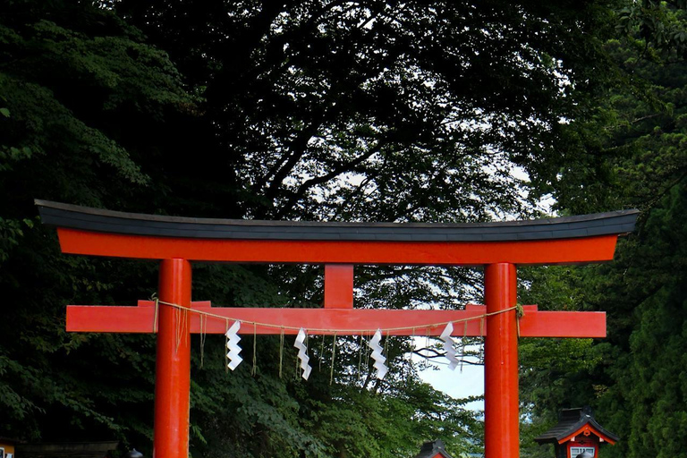 Tokyo:Nikko World Heritage Sites Customized Private Day Trip Nikko Private Tour –Minivan Up to 7 Guests