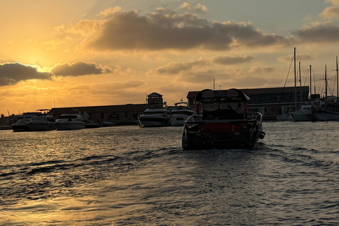 Paphos: Sea Safari Cruise with Blue Marlin Trimaran Yacht