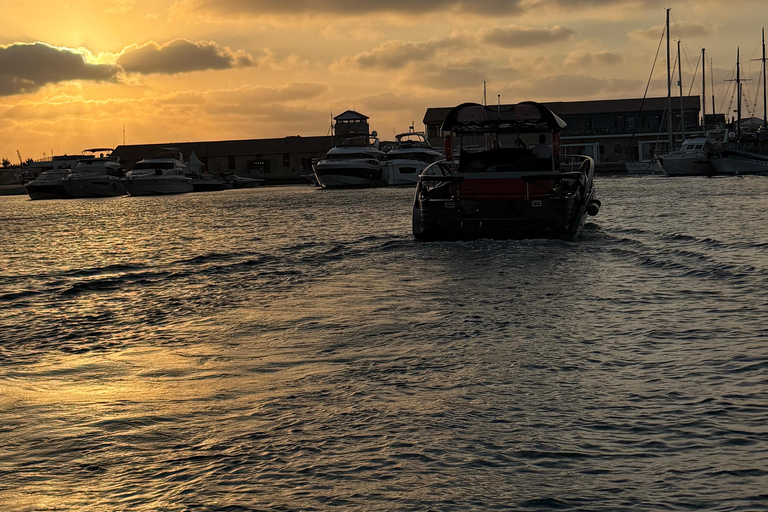 Paphos: Sea Safari Cruise with Blue Marlin Trimaran Yacht