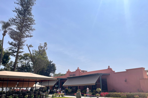 De Ica ou Huacachina: Pisco, vinho e buggy ao pôr do sol