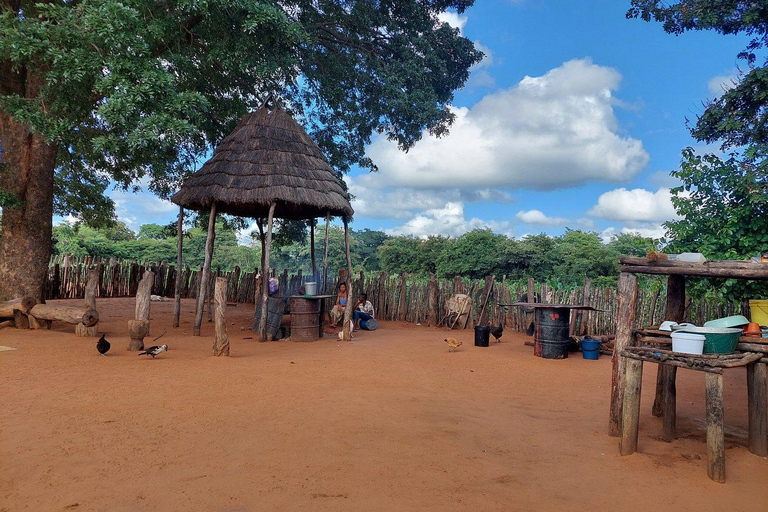 Victoriafallen: Naturskön byupplevelse med lunchkryssning