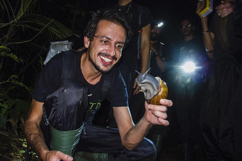 Manaus : Focagem Noturna