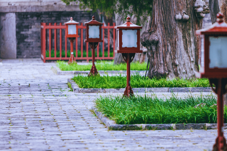 Peking: Spezialisierter Hutong-Spaziergang &amp; Imperial College TourSpezialität Hutong Walk &amp; The Imperial College Tour 10:00