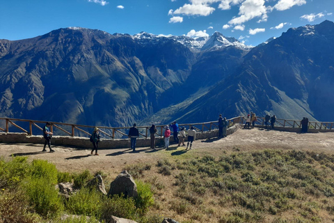 Colca Canyon: Full-Day Sightseeing Tour with Exclusive Visit to Tapay and Ending in Puno