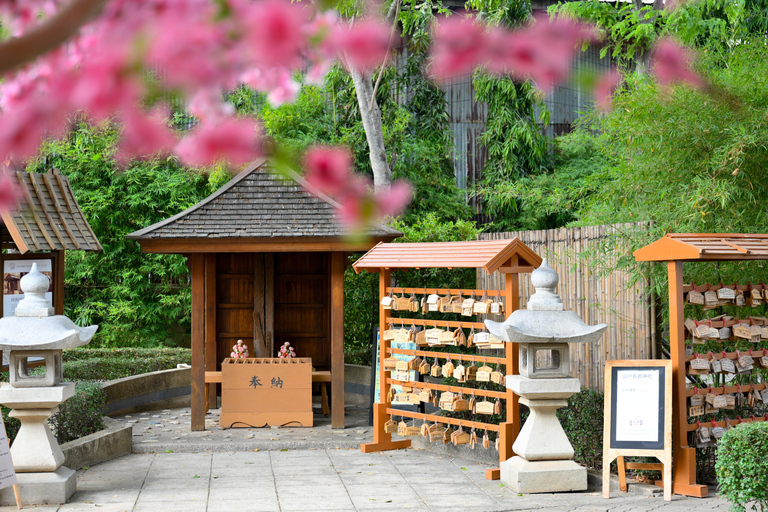 Ayutthaya-Pass: Bis zu 53% sparen – inklusive Mayura&#039;s HouseAyutthaya Pass: Bis 53% Ersparnis – inkl. Mayura&#039;s House