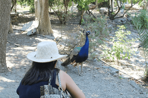 Kreta: Botanisches &amp; Bergabenteuer mit lokalem Essen