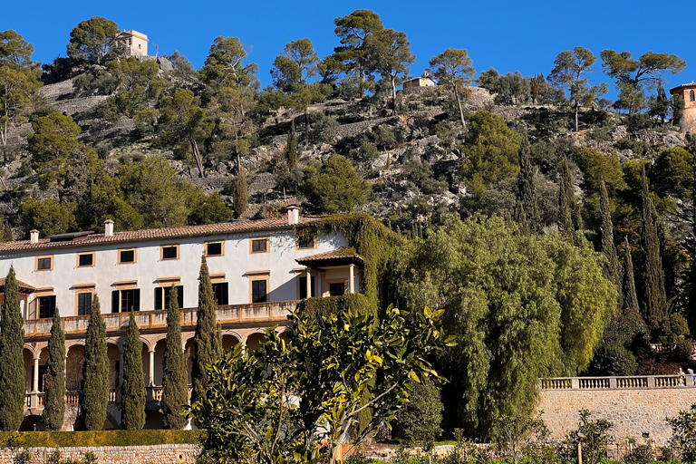 Abbraccia l&#039;incanto della stagione dei mandorli in fiore di MaiorcaLa stagione dei mandorli in fiore di Maiorca