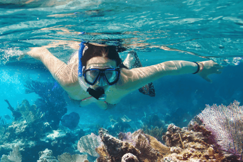 Isla Saona: Punta Cana All-inclusive