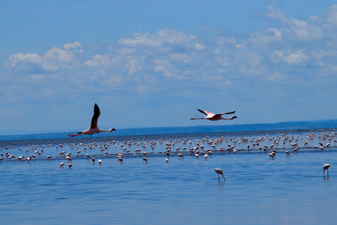 Arusha: Lake Natron Day Trip (Lake Walk &amp; Waterfall Hike)