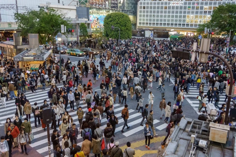Visite touristique personnalisée de Tokyo en voiture et en van