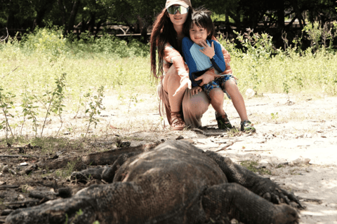 Labuan Bajo: Private Yacht Komodo-Inseln &amp; Manta-SchnorchelnPrivate Yachttour am Vormittag (13:00–19:00 Uhr) – Maximal 6 Gäste