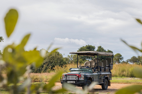 Från Zanzibar: Mikumi Safari med tvåmotorigt flygplan + lunchMikumi Safari – utan transfer