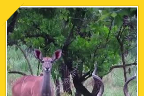 Addis Abeba: 7-dniowa wycieczka do parków narodowych Chebera i Maze