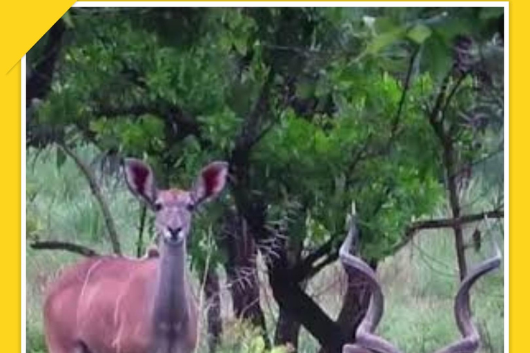 Addis Abeba: 7-dniowa wycieczka do parków narodowych Chebera i Maze