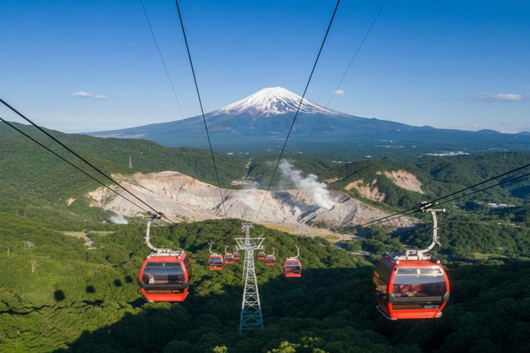 Tokyo:Hakone Private Day Tour With Lake Ashi & Mt Fuji views