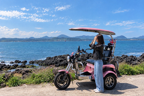 Jeju: Udo Island, Seongsan & Tangerine Picking Tour
