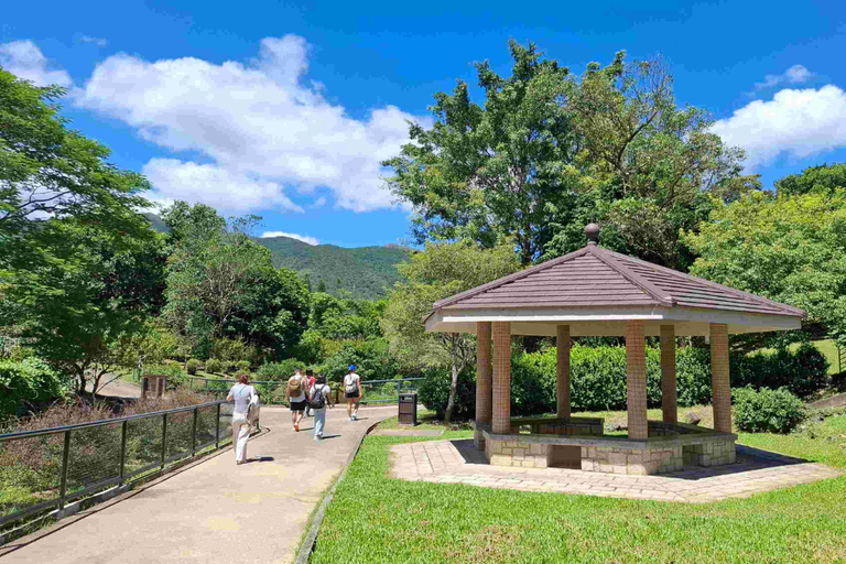 Hong Kong Eco-tourism: Guided Forest Bathing Experience Private Forest Therapy Session