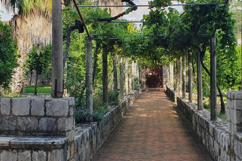 Dubrovnik: Elafiti Islands Cruise with Lunch & Wine