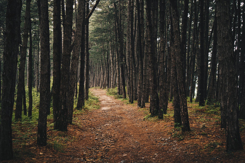 Avventura in E-MTB sulla collina di Vrmac