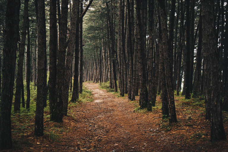 Avventura in E-MTB sulla collina di Vrmac