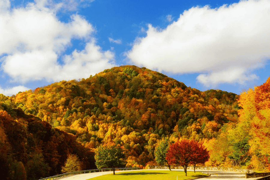 Brevard: Herbstliche Jeep-Tour. Foto: GetYourGuide